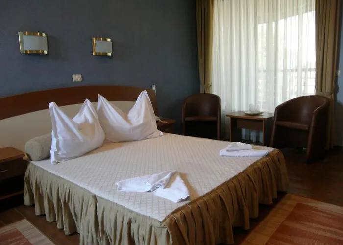 Hotel Anca Eforie Nord